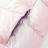 preiswerte Mädchen Daunen- und Parkajacke-Kinder Mädchen Daunenjacke Einfarbig Aktiv Reißverschluss Outdoor Mantel Oberbekleidung 2-12 Jahre Winter Regenbogenfarben Kaffeefarbe Rosa