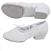 abordables Chaussures de ballet-Femme Chaussons de ballet Utilisation Soirée Talon Talon Cubain Élastique Adulte Noir Blanche Rose