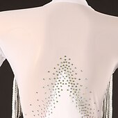 preiswerte Kleidung für lateinamerikanische Tänze-Tanz Salsa Latein Tanzkleid Strass Quaste Damen Performance Training Langarm High Spandex Tüll