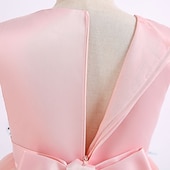 preiswerte Kleider für die Blumenmädchen-kinderkleidung Mädchen Blumenmädchen Kleid Kleid Party Kleid Blume Ärmellos Leistung Hochzeit Party Gitter Elegant Prinzessin Polyester Midi abendkleider Blumenmädchenkleid Sommer Frühling 3-10 Jahre