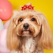 Недорогие Одежда и аксессуары для собак-Собаки Коты Орнаменты Симпатичные Стиль На каждый день Зима Дышащий Мягкий Влажная чистка Удобный на открытом воздухе На каждый день Одежда для собак for