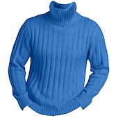 cheap Men&#039;s Pullover Sweater-Men&#039;s Turtleneck Sweater Pullover Sweater Jumper Knit Sweater Mens Turtle Neck Jumper Ribbed Knit Regular Knitted Pit Plain Roll Neck Keep Warm Modern Contemporary Daily Wear Going out Clothing