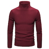 preiswerte Herrenpullover-Herren Rollkragenpulli Pullover Kurzer Pullover Gerippt Stricken Normale Oberteile gestrickt Glatt Rollkragen Moderne zeitgenössische Arbeit Freizeitskleidung Bekleidung Winter Wein Schwarz S M L