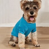 billige Kjølevest og skjorte-Hunder Katter Trøye / T-skjorte Mote Fritid Pustende Myk Vaskbar Bekvem utendørs Fritid / hverdag Hundeklær for Bichon Frisé Pommeran ungt kjæledyr Sommerfugl Small