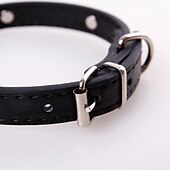 economico Collari, pettorine e guinzagli per cani-Prodotti per cani Prodotti per gatti Collari Regolabile Portatile Duraturo Esterno Marcia Tinta unita