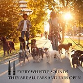 お買い得  犬用トレーニング用品-ストラップ付き犬笛 吠えを止める超音波犬笛 高周波サイレントホイッスル 犬の訓練用