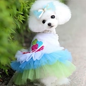 billiga Klänningar-Hund Katt Klänningar söt stil Ledigt Andningsfunktion Mjuk Tvättbar Bekväm Utomhus Ledigt / vardag Hundkläder for Bichon Frisé Pommeran valpen eller det lilla husdjuret Fjäril Small