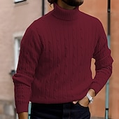billige genser for menn-Herre Turtleneck genser Genser Riflet Kabel Strikke Strikket عادي Rullekrage Hold Varm Moderne Moderne Dagligdagstøy Ut på byen Klær Høst vinter Svart Hvit M L XL