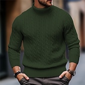 preiswerte Herrenpullover-Herren Rollkragenpulli Pullover Zur Seite fahren Gerippt Gedrehtes Stricken Strick Glatt Rollkragen warm halten Brautkleider schlicht Freizeitskleidung Urlaub Bekleidung Herbst Winter Kamel Schwarz M