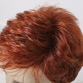 cheap Mens Wigs-Synthetic Wig Uniforms Career Costumes Princess kinky Straight Middle Part Layered Haircut Machine Made Wig 8 inch sepia Synthetic Hair Men&#039;s Cosplay Party Fashion Brown