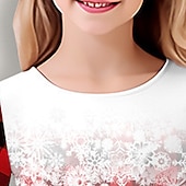  Meisjes 3D Ruitjes Sneeuwvlok  Sneeuwvlokjurk Jurk met ruches Lange mouw 3D-afdrukken Herfst Winter Vakantie Sport & Outdoor Dagelijks leuke Style Casual Mooi Kinderen 3-12 jaar Casual jurk A lijn