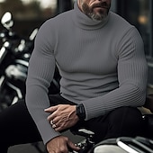 cheap Men&#039;s Pullover Sweater-Men&#039;s Turtleneck Sweater Pullover Sweater Jumper Knit Sweater Ribbed Knit Regular Tops Pitted Plain Roll Neck Keep Warm Modern Contemporary Casual Daily Wear Clothing Apparel Fall Winter Black White