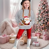 Недорогие Детские рождественские наборы-Девочки 3D Каждый В снежинку Рождественские наборы Комплект из толстовки и леггинсов Набор Длинный рукав 3D печать Осень Зима Активный Мода Повседневные Дети 3-12 лет Вырез под горло