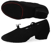 abordables Chaussures de ballet-Femme Chaussons de ballet Utilisation Soirée Talon Talon Cubain Élastique Adulte Noir Blanche Rose