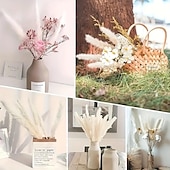 baratos esculturas e estátuas de jardim-15 peças de pastagem de pampas brancas, 6,69/17,72 polegadas, ramos de grama de pampas secos naturais, decoração para casa, cozinha, jardim, festa, arranjo de flores, decoração de vaso (branco)