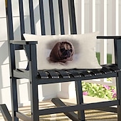 economico Cuscini personalizzati-Fodera per cuscino lombare personalizzata per laurea Aggiungi la tua immagine Miglior regalo di laurea Foto personalizzata Design Immagine Fodera per cuscino alla moda e casual 1pc