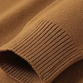 cheap Men&#039;s Pullover Sweater-Men&#039;s Turtleneck Sweater Pullover Sweater Jumper Knit Sweater Mens Turtle Neck Jumper Ribbed Knit Regular Tops Knitted Basic Plain Turtleneck Keep Warm Modern Contemporary Daily Wear Going out