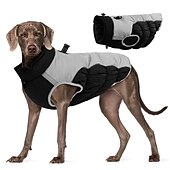 halpa Takit-Koirat Kissat Takit Takki Liivi Muoti Vapaa-aika Talvi Heijastava Vedenkestävä Lämmin Hengittävä Pehmeä Joulu Halloween ulko- Rento / arki Koiran vaatteet for Bichon Frise Pomeranian Pienelle