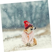 billiga Tröjor-Hund Katt Tröjor Jumper Förtjusande Ledigt Vinter Andningsfunktion Mjuk Tvättbar Bekväm Utomhus Ledigt / vardag Hundkläder for Bichon Frisé Pommeran valpen eller det lilla husdjuret Fjäril Small