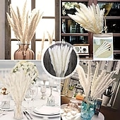 baratos esculturas e estátuas de jardim-15 peças de pastagem de pampas brancas, 6,69/17,72 polegadas, ramos de grama de pampas secos naturais, decoração para casa, cozinha, jardim, festa, arranjo de flores, decoração de vaso (branco)