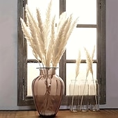 baratos esculturas e estátuas de jardim-15 peças de pastagem de pampas brancas, 6,69/17,72 polegadas, ramos de grama de pampas secos naturais, decoração para casa, cozinha, jardim, festa, arranjo de flores, decoração de vaso (branco)