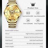 abordables Relojes mecánicos-OLEVS Hombre Relojes Mecánico Lujo Esfera Grande Moda Negocios Cuerda Automática Luminoso Calendario IMPERMEABLE Acero Reloj