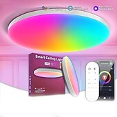 abordables Lumières intelligentes-Lampe de plafond LED intelligente Tuya Smart RGBCW lampe de contrôle vocal APP à LED pour chambre et salon diamètre de 30 cm