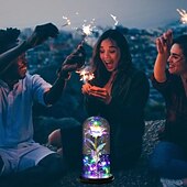 abordables 123496-Guirlande lumineuse LED romantique en forme de rose enchantée dans un dôme en verre – cadeau parfait pour la fête des mères, les mariages, la Saint-Valentin et les anniversaires (piles non incluses).