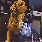 economico Luci paesaggistiche-Luci solari per cani da esterno impermeabili Decorazioni per il giardino per cani Luci solari da giardino per esterni impermeabili Decorazione paesaggistica Lampada da prato ornamenti da esterno