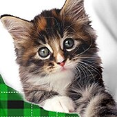 abordables Animaux 3D de Fille-Saint Patrick Fille 3D Plaid Chat Tee-shirts Chemise manche longue 3D effet Printemps Automne Actif Mode Le style mignon Polyester Enfants 3-12 ans Col Ras du Cou Extérieur Casual du quotidien