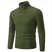 preiswerte Herrenpullover-Herren Rollkragenpulli Pullover Strickpullover Rollkragenpullover für Herren Gerippt Gedrehtes Stricken Retro Stilvoll Farbblock Rollkragen Perlenbesetzter Saum Pullover Täglich Festtage Bekleidung