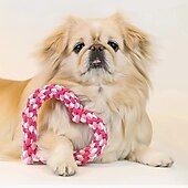 abordables Jouets pour chiens-Jouets de mastication Jouet interactif Cordes avec Durable Exercice pour animaux de compagnie Relâcher la pression pour Chien Chat Intérieur Extérieur Jeu d&#039;animaux