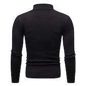 levne pánský pulovrový svetr-Pánské Pulovrový svetr Pletený svetr Rýhovaný Plést Standardní Pletený Bez vzoru Mock Neck Základní Zahřívací Denní nošení Jdeme ven Oblečení Podzim Zima Fialová Černá M L XL