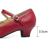 cheap Ballroom Shoes &amp; Modern Dance Shoes-Women&#039;s Heels Pumps Slip-Ons Mary Jane Vintage Shoes Comfort Shoes Party Outdoor Daily Kitten Heel Round Toe Elegant Vintage Fashion Leather Cowhide Buckle Ankle Strap Silver Dark Red Black