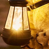 economico Luci paesaggistiche-Luci solari per cani da esterno impermeabili Decorazioni per il giardino per cani Luci solari da giardino per esterni impermeabili Decorazione paesaggistica Lampada da prato ornamenti da esterno