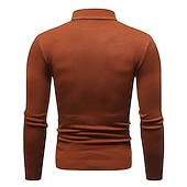levne pánský pulovrový svetr-Pánské Pulovrový svetr Pletený svetr Rýhovaný Plést Standardní Pletený Bez vzoru Mock Neck Základní Zahřívací Denní nošení Jdeme ven Oblečení Podzim Zima Fialová Černá M L XL