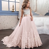cheap Flower Girl&#039;s Dresses-Flower Girl Dress Girls&#039; Dress Lace Dress Formal Dress Princess Dress Formal Performance Wedding Elegant Vintage Princess Lace Bow Floral Sleeveless Crew Neck White Pink 4-13 Years