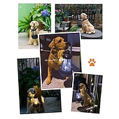 economico Luci paesaggistiche-Luci solari per cani da esterno impermeabili Decorazioni per il giardino per cani Luci solari da giardino per esterni impermeabili Decorazione paesaggistica Lampada da prato ornamenti da esterno