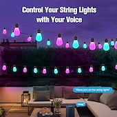 זול אורות חכמות-מנורת ס string חכמה LED Tuya חכמה קשת אור S14 חיצונית עמידה במים סוס דוהר פנטזי עם 20 בועות בכש 12 מטרים עם אספקת חשמל USB