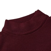 levne pánský pulovrový svetr-Pánské Pulovrový svetr Pletený svetr Rýhovaný Plést Standardní Pletený Bez vzoru Mock Neck Základní Zahřívací Denní nošení Jdeme ven Oblečení Podzim Zima Fialová Černá M L XL