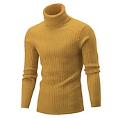 preiswerte Herrenpullover-Herren Rollkragenpulli Pullover Strickpullover Rollkragenpullover für Herren Gerippt Gedrehtes Stricken Retro Stilvoll Farbblock Rollkragen Perlenbesetzter Saum Pullover Täglich Festtage Bekleidung