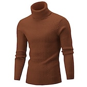 preiswerte Herrenpullover-Herren Rollkragenpulli Pullover Strickpullover Rollkragenpullover für Herren Gerippt Gedrehtes Stricken Retro Stilvoll Farbblock Rollkragen Perlenbesetzter Saum Pullover Täglich Festtage Bekleidung