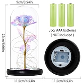 abordables 123496-Guirlande lumineuse LED romantique en forme de rose enchantée dans un dôme en verre – cadeau parfait pour la fête des mères, les mariages, la Saint-Valentin et les anniversaires (piles non incluses).
