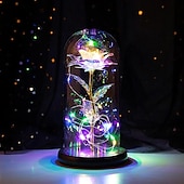abordables 123496-Guirlande lumineuse LED romantique en forme de rose enchantée dans un dôme en verre – cadeau parfait pour la fête des mères, les mariages, la Saint-Valentin et les anniversaires (piles non incluses).