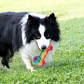 お買い得  犬用おもちゃ-噛む用おもちゃ インタラクティブトイ きしむおもちゃ ととも​​に 耐用的 ペット運動 歯が生えるおもちゃ のために 犬用 屋内 屋外 ペットプレイ