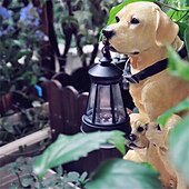 economico Luci paesaggistiche-Luci solari per cani da esterno impermeabili Decorazioni per il giardino per cani Luci solari da giardino per esterni impermeabili Decorazione paesaggistica Lampada da prato ornamenti da esterno