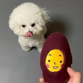 baratos Brinquedos para Cães-Brinquedos para roer Brinquedos Felpudos Brinquedo interativo com Durável Exercício para animais de estimação Brinquedo de dentição para Cachorros Gatos Interior Exterior Brinquedos Para Pet