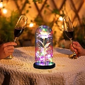 abordables 123496-Guirlande lumineuse LED romantique en forme de rose enchantée dans un dôme en verre – cadeau parfait pour la fête des mères, les mariages, la Saint-Valentin et les anniversaires (piles non incluses).
