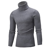 preiswerte Herrenpullover-Herren Rollkragenpulli Pullover Strickpullover Rollkragenpullover für Herren Gerippt Gedrehtes Stricken Retro Stilvoll Farbblock Rollkragen Perlenbesetzter Saum Pullover Täglich Festtage Bekleidung