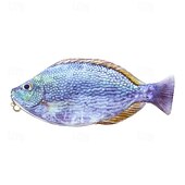 preiswerte Federmäppchen &amp; Halter-Simulation fischförmiges Federmäppchen, wasserdichtes Federmäppchen, Fisch-Geldbörse, neuartiges Federmäppchen, interessantes Federmäppchen, langlebig, Schreibwaren-Tasche, Geschenk, Jungen, Mädchen,